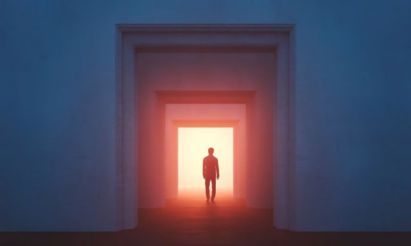 围场系统开发：未来开发团队需要哪些核心技能才能高效破局？